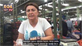 Ekran görüntüsü 2026-05-25 210909